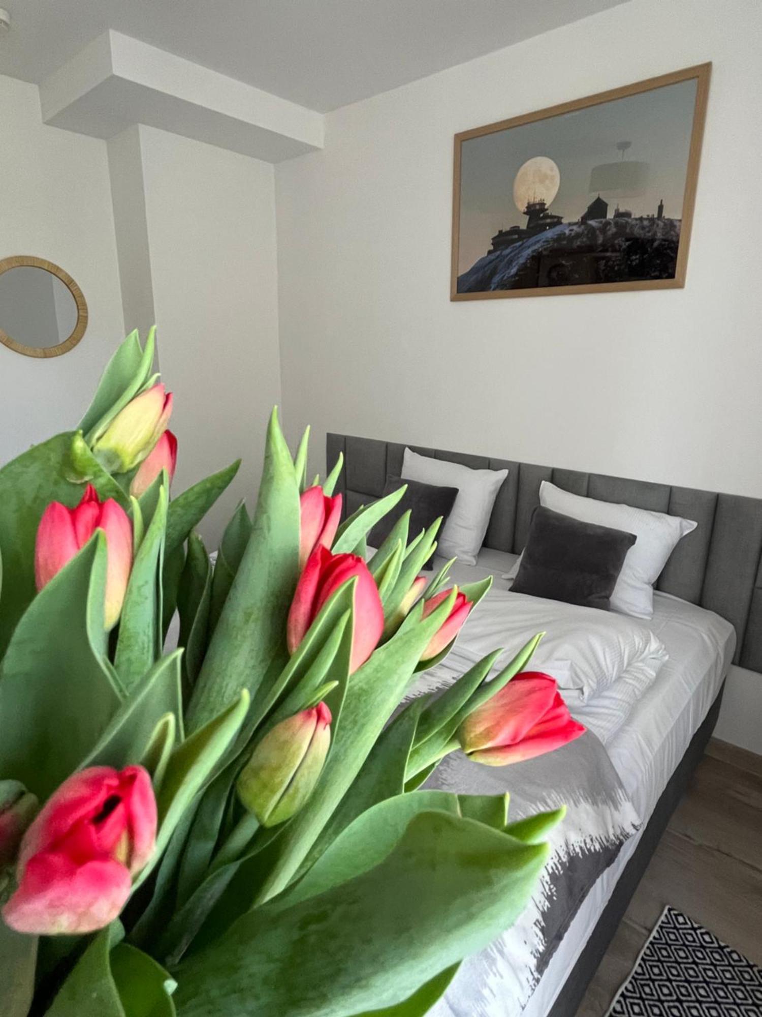 Karkonoskie Widoki Apartamenty Karpacz Extérieur photo