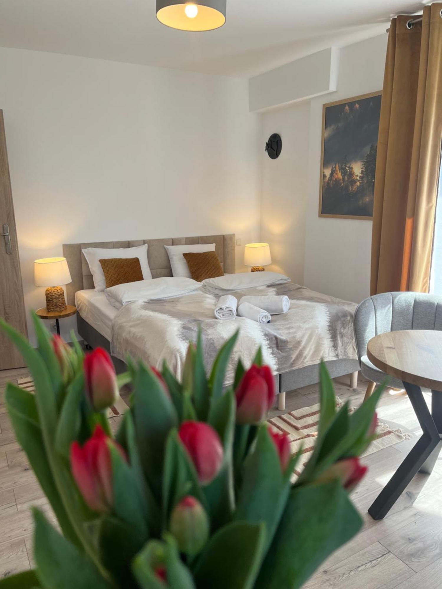 Karkonoskie Widoki Apartamenty Karpacz Extérieur photo
