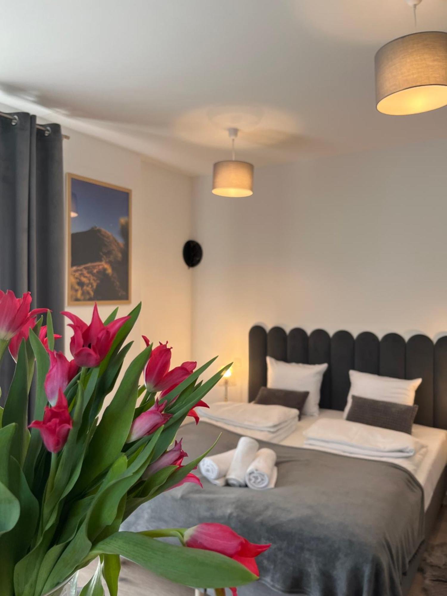 Karkonoskie Widoki Apartamenty Karpacz Extérieur photo