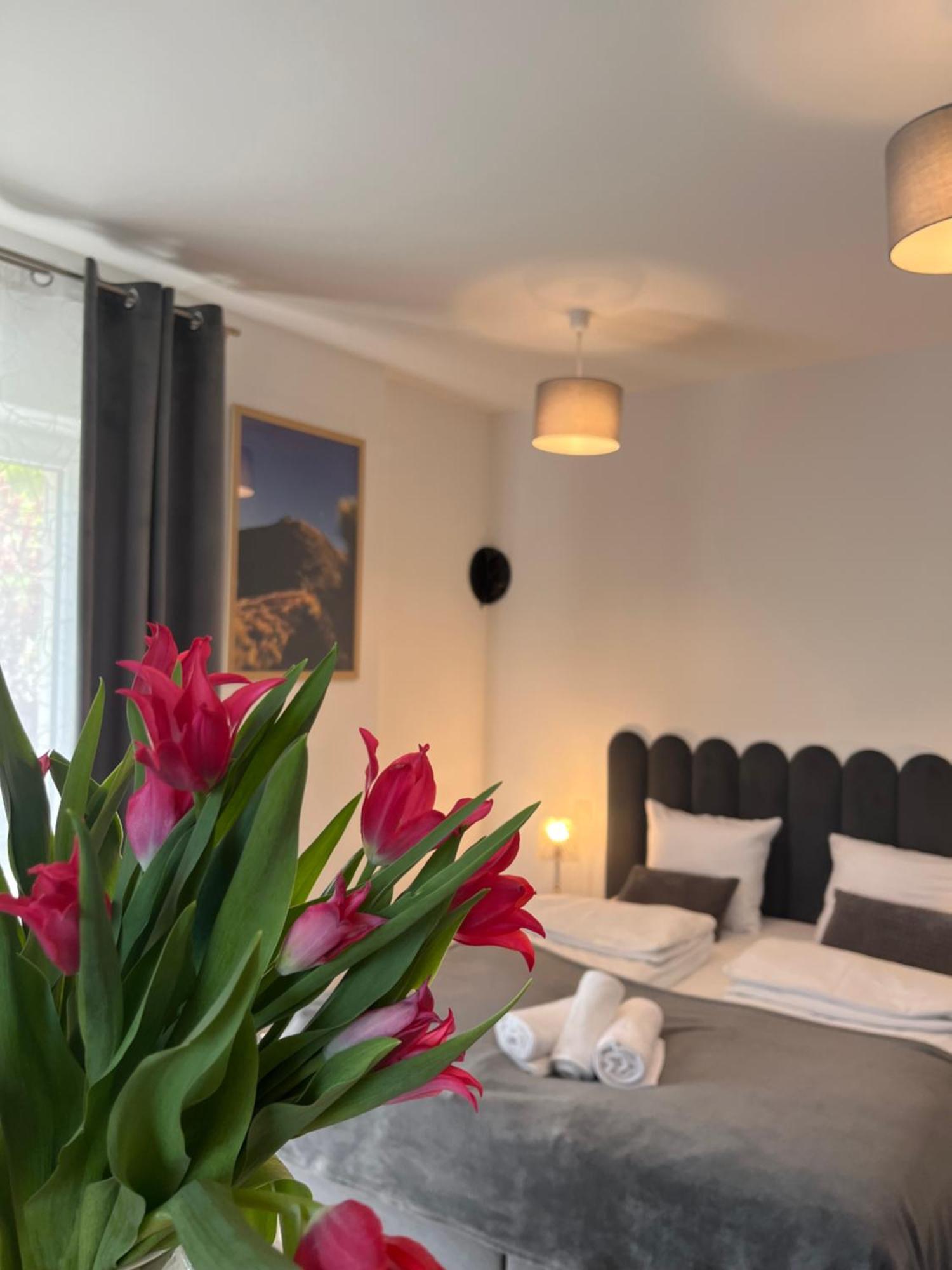 Karkonoskie Widoki Apartamenty Karpacz Extérieur photo