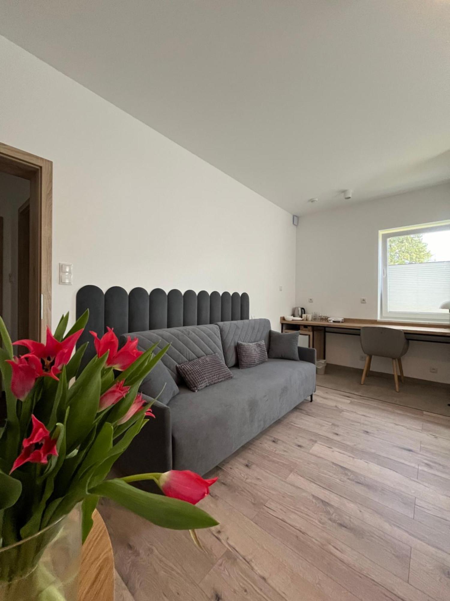Karkonoskie Widoki Apartamenty Karpacz Extérieur photo