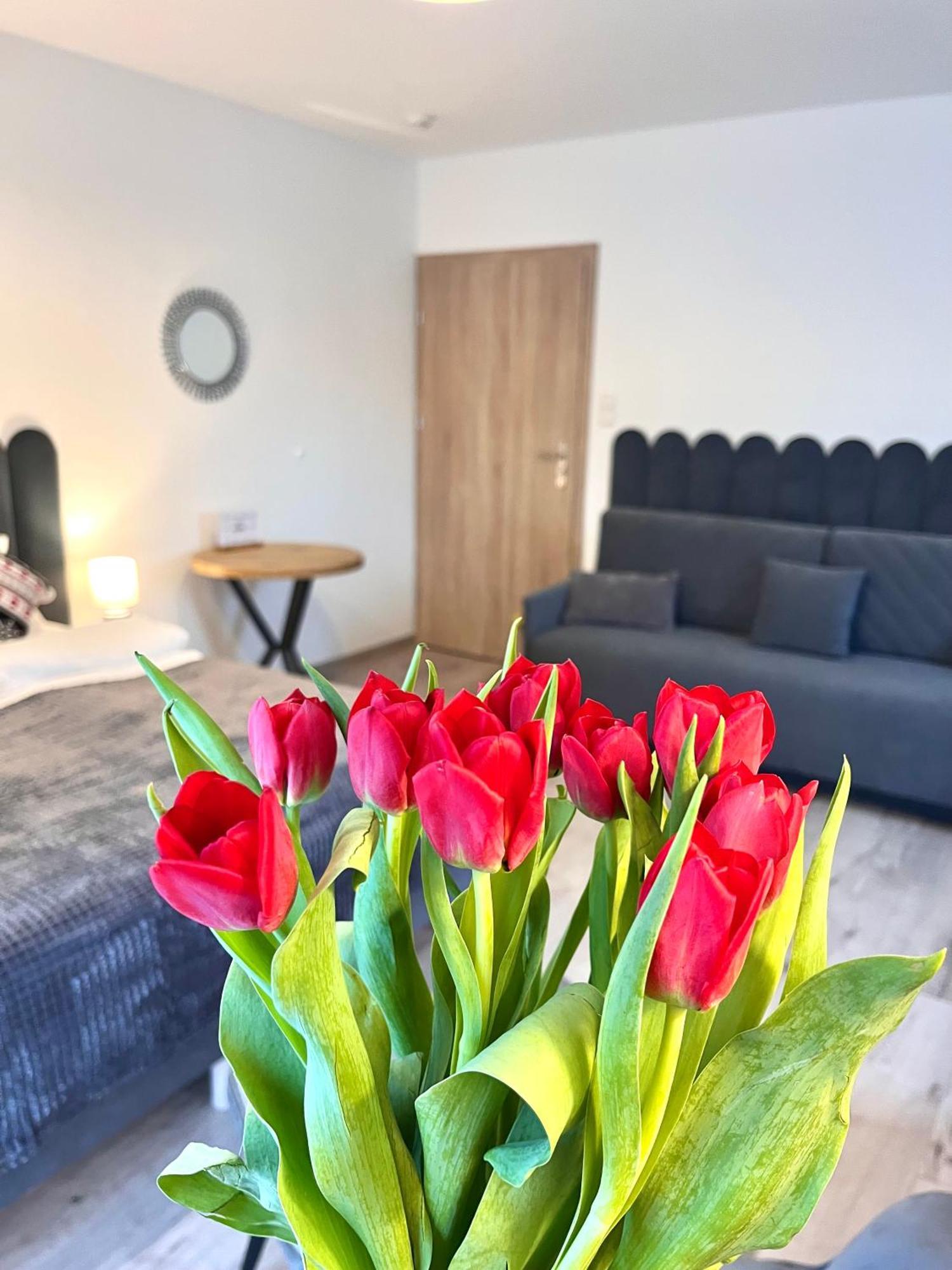 Karkonoskie Widoki Apartamenty Karpacz Extérieur photo
