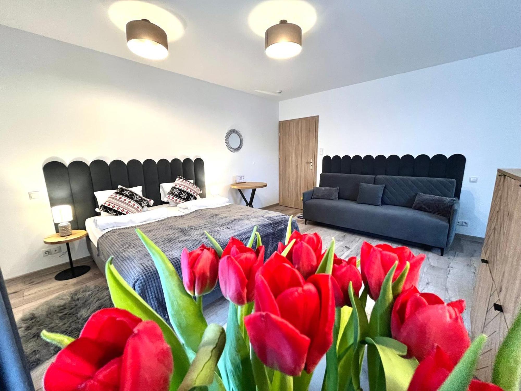 Karkonoskie Widoki Apartamenty Karpacz Extérieur photo