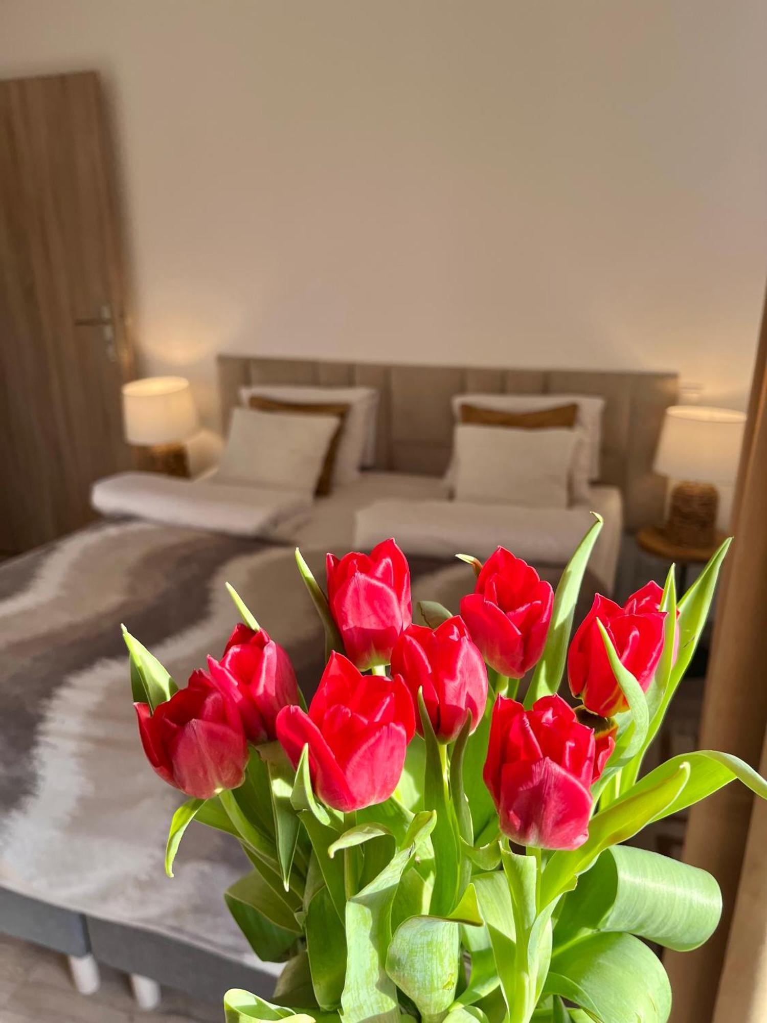Karkonoskie Widoki Apartamenty Karpacz Extérieur photo